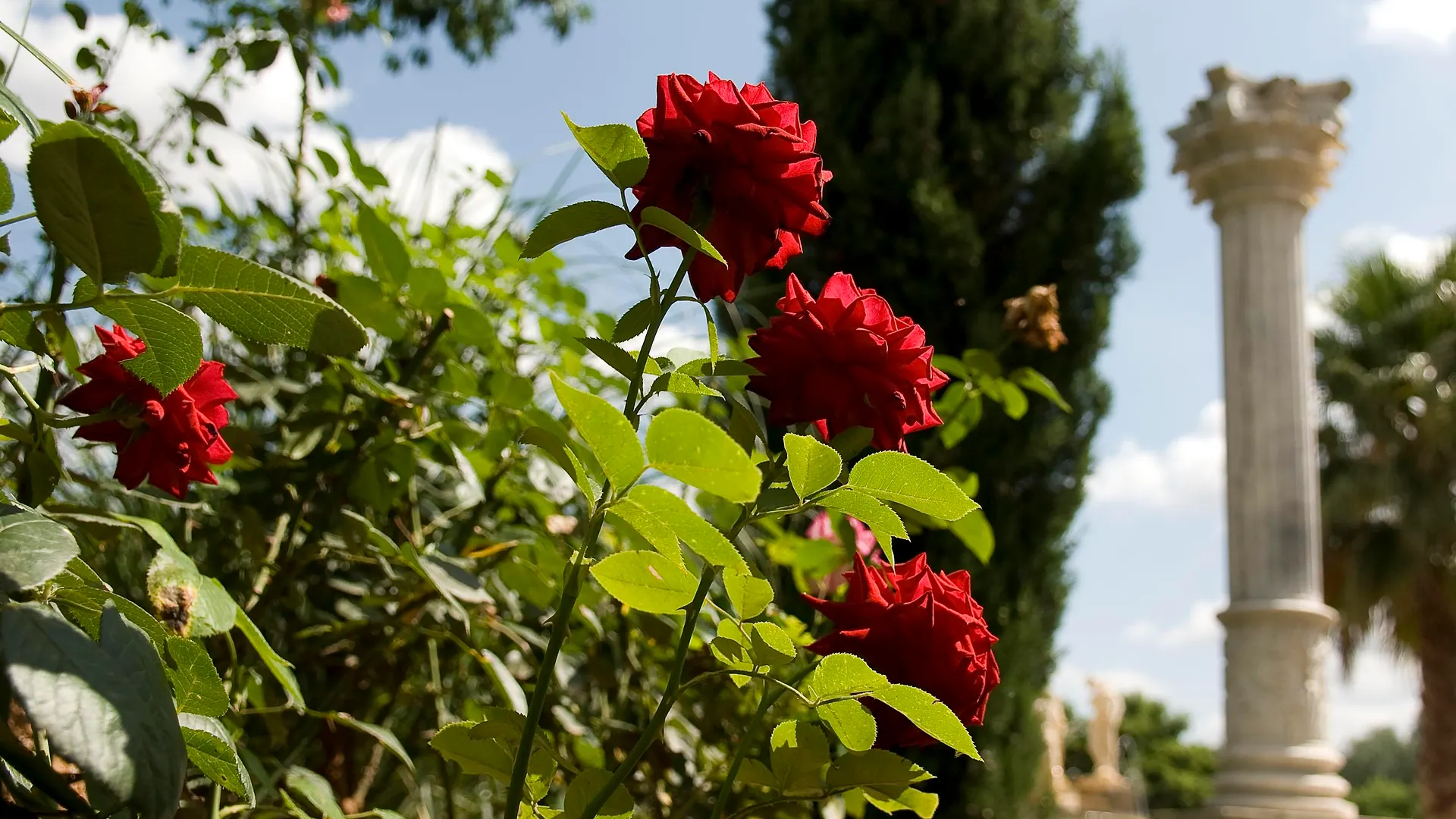 Es Revellar Art Resort - Adults Only Campos  Farm stay